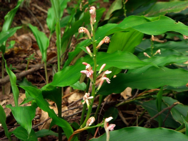 d0037233_10451575.jpg