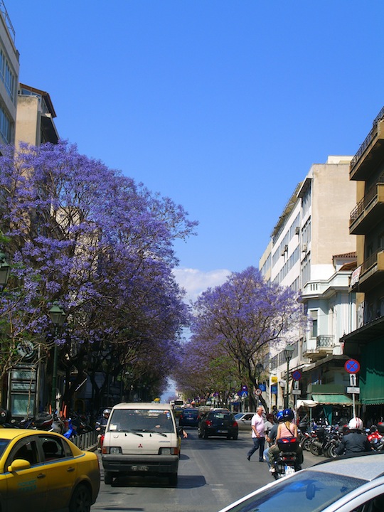 c0170236_1344596.jpg