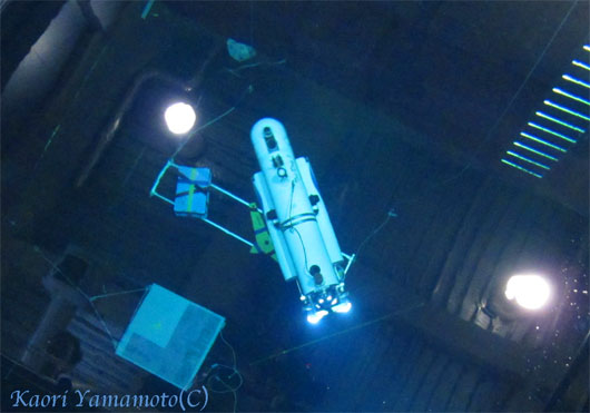 a0095337_23475859.jpg