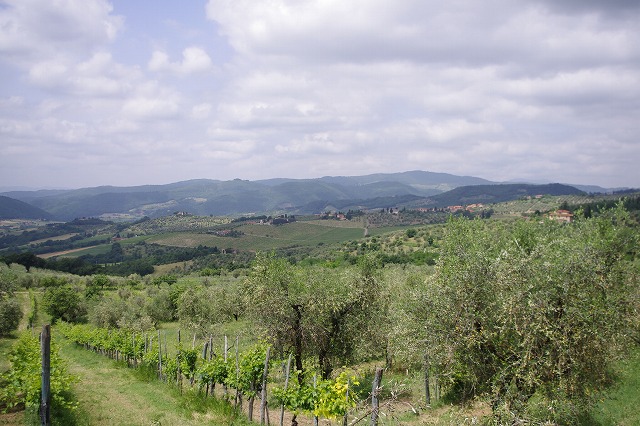 d0092439_19221842.jpg