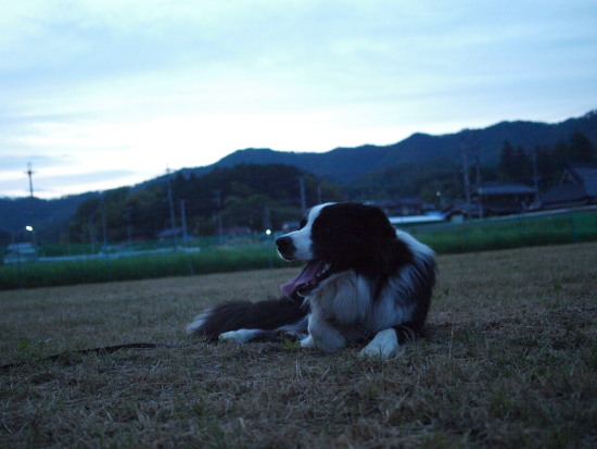 c0072843_13274197.jpg