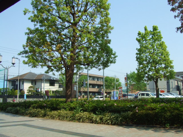 c0071545_22562826.jpg