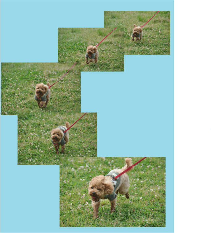 b0182846_2218023.gif