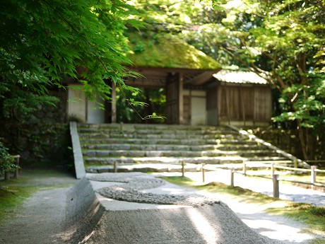 c0057946_2037548.jpg