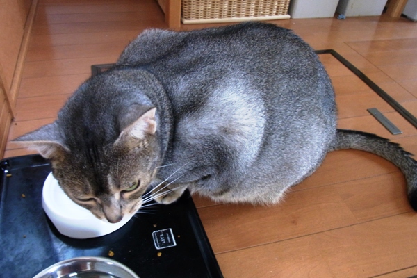 c0067646_4142540.jpg