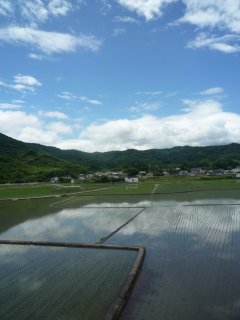 a0008549_2035479.jpg