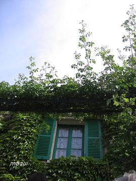 c0098050_20185171.jpg