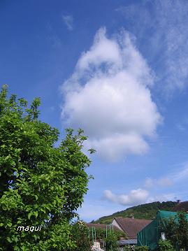 c0098050_20384676.jpg