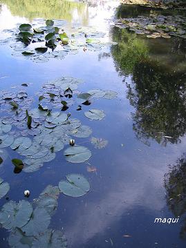 c0098050_20542593.jpg