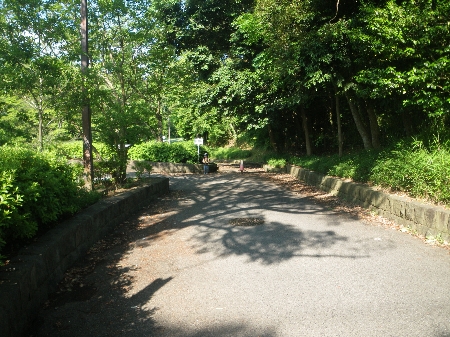 a0056654_23185148.jpg