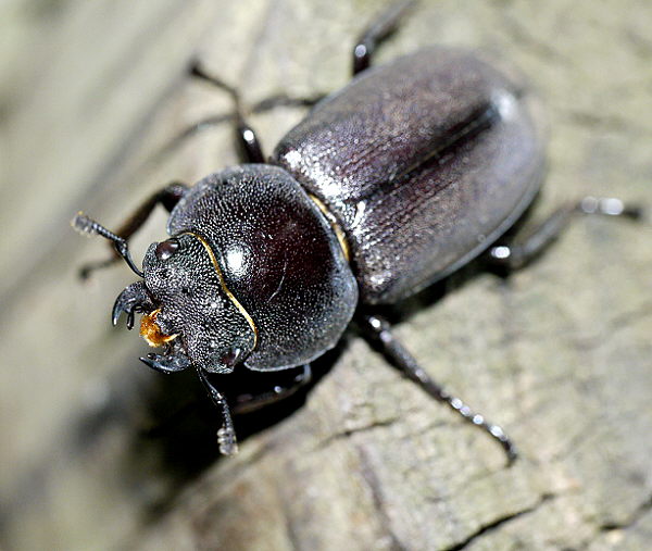 d0091754_20474767.jpg