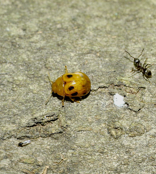 d0091754_238119.jpg