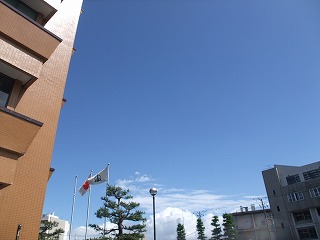 c0208355_16501584.jpg