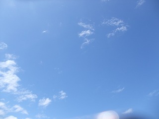 c0208355_1650302.jpg
