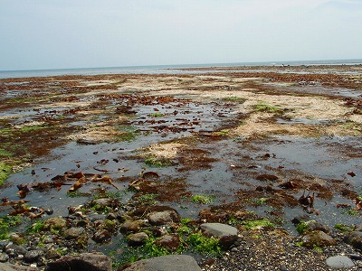 e0004756_2073379.jpg