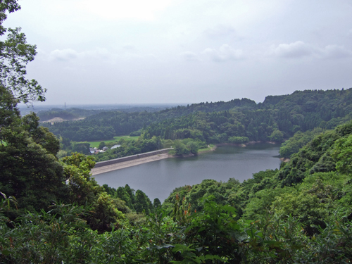 b0045357_8554239.jpg