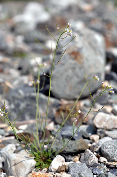 c0043361_0311960.jpg