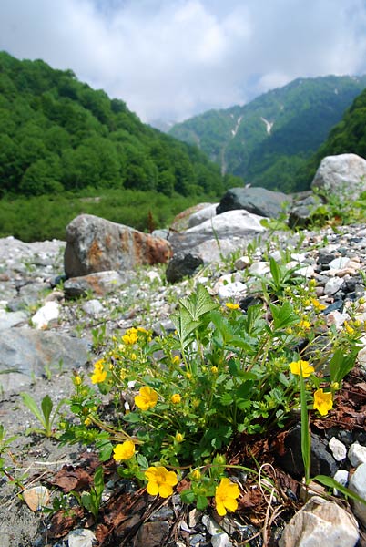 c0043361_0335185.jpg