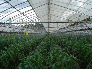 f0055264_21551730.jpg