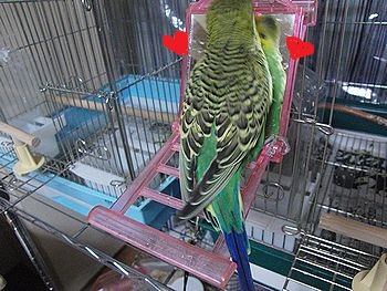f0196665_0124074.jpg