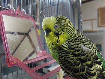f0196665_014612.jpg