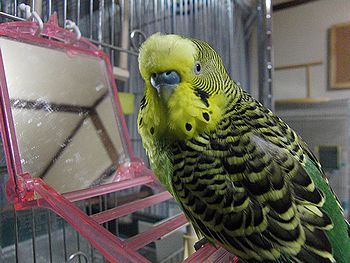 f0196665_041931.jpg