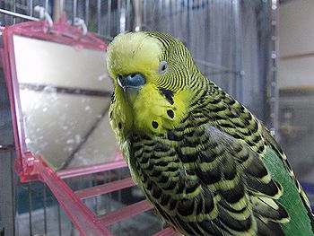 f0196665_055171.jpg