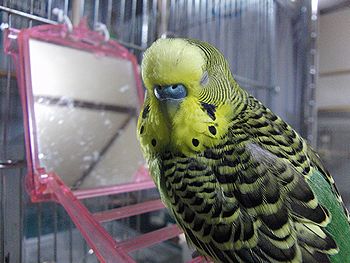 f0196665_08058.jpg