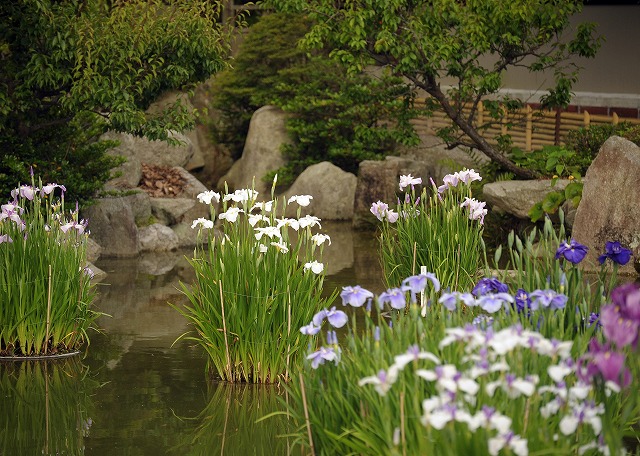 b0131167_1872551.jpg