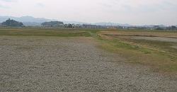e0041168_10322789.jpg