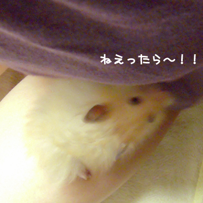 c0160473_12135368.jpg
