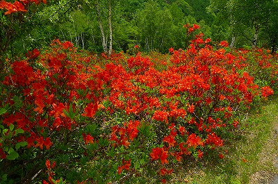 f0182173_105129.jpg