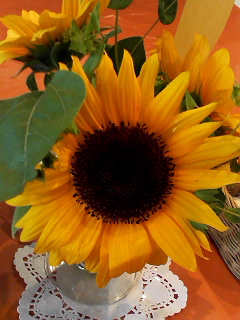 f0140174_024531.jpg