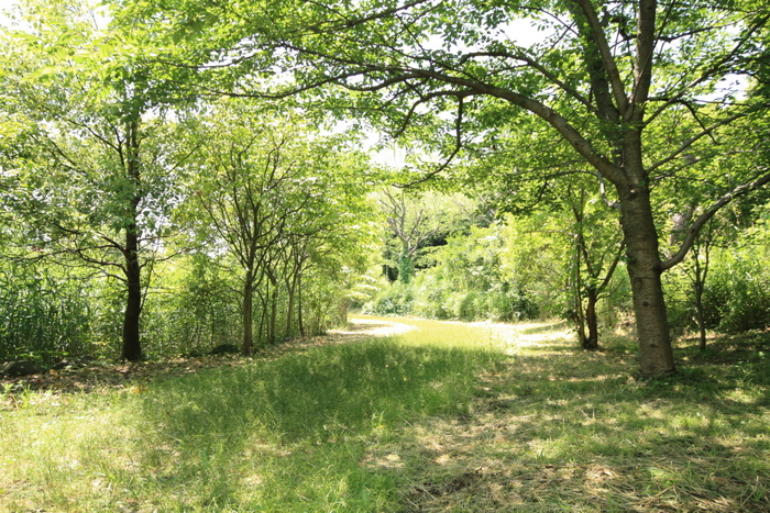 c0217475_20132594.jpg