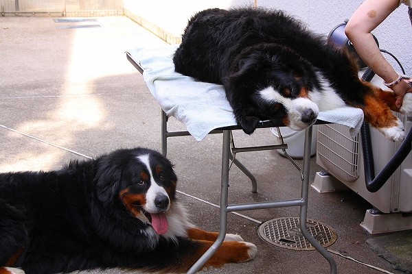 c0149178_17291939.jpg