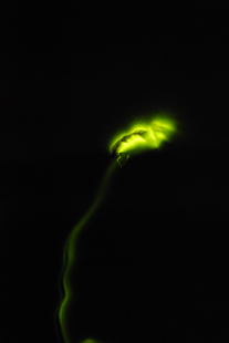 a0062983_13572093.jpg