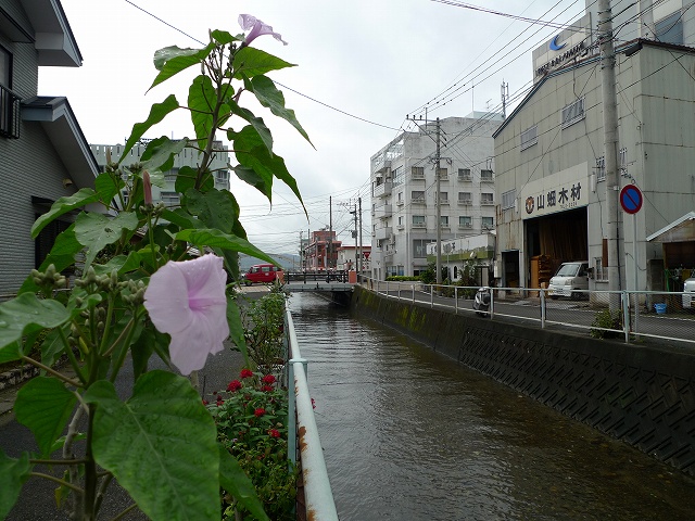 b0115085_1051448.jpg
