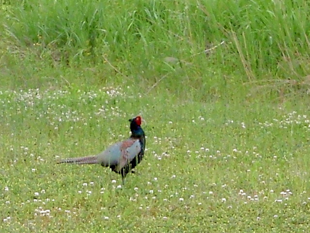 a0007388_1213681.jpg