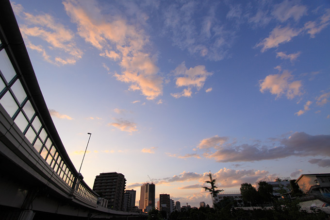 b0067789_211944.jpg
