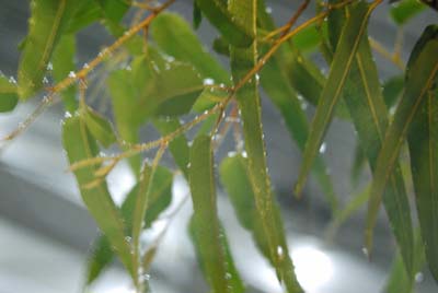 f0155891_031937.jpg