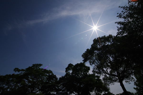 f0141392_22114937.jpg