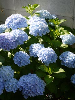 f0222692_15514223.jpg