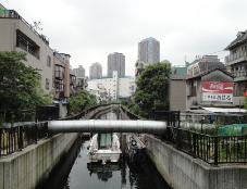 a0146493_11383655.jpg