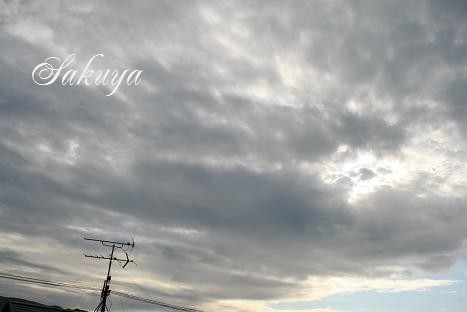 e0122194_1359254.jpg