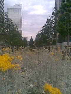 d0173197_13353775.jpg