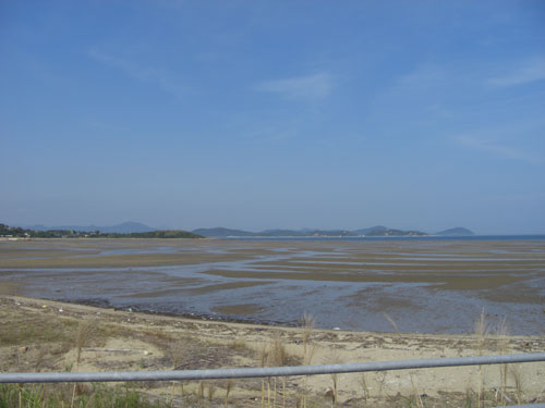 a0047200_6323096.jpg