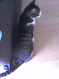 a0065800_14563739.jpg