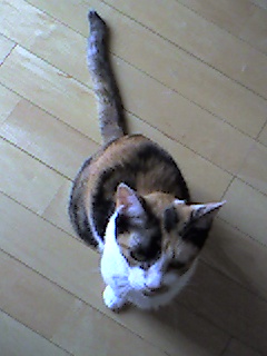 a0065800_1456891.jpg
