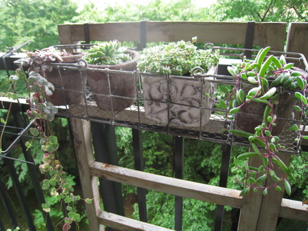 c0227800_758297.jpg