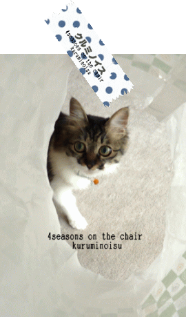 e0041500_13363722.gif